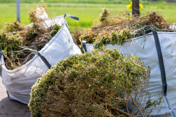 Best Junk Hauling Services  in Williams, CA